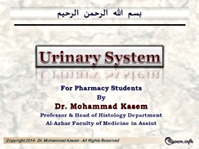 View Lecture online
