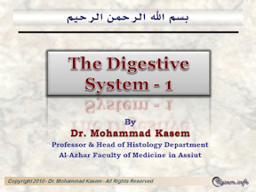 The Digestive System Part 1