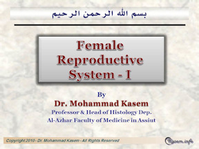 The Female Reproductive System-1