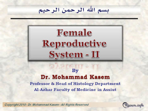 The Female Reproductive System-II
